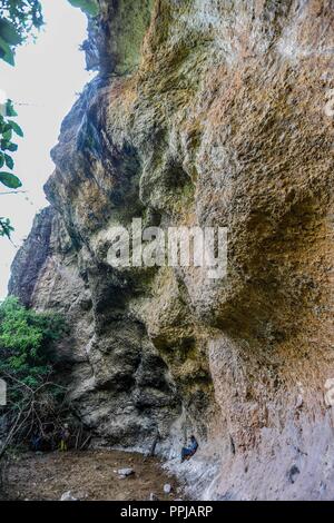 Pinturas. Pared. . Rancho de Santa Barbara **** Reserva Monte Mojino (ReMM) de la Culture naturelle International (CCI) Credito:LuisGutierrez Banque D'Images