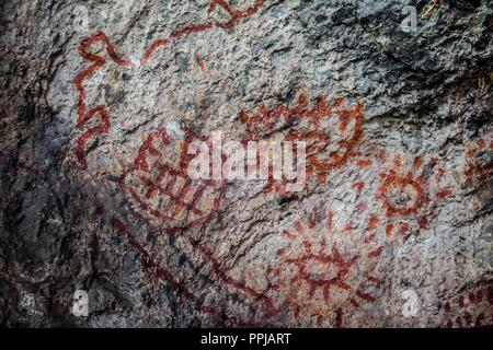 Pinturas. Pared. . Rancho de Santa Barbara **** Reserva Monte Mojino (ReMM) de la Culture naturelle International (CCI) Credito:LuisGutierrez Banque D'Images
