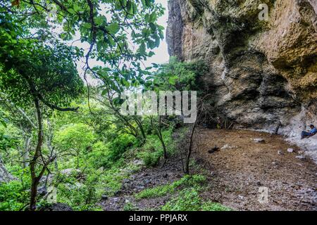 Pinturas. Pared. . Rancho de Santa Barbara **** Reserva Monte Mojino (ReMM) de la Culture naturelle International (CCI) Credito:LuisGutierrez Banque D'Images