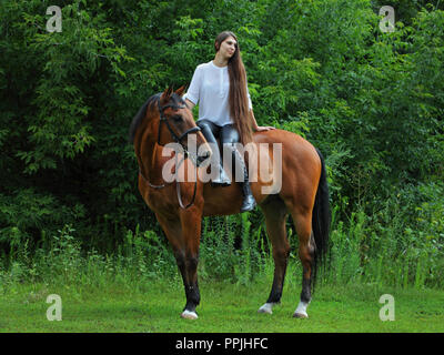 Amazing girl riding a horse en forêt d'été Banque D'Images