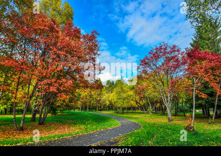 Petit coin d'automne parc de la ville avec chemin à travers les arbres avec pelouse entre le feuillage multicolore rouge et arbres rowan - paysage d'automne à Bright Banque D'Images