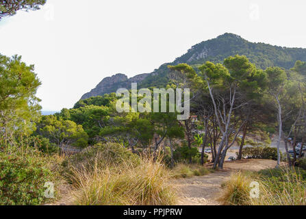 Dans Mountanroad Tramuntana à Majorque Banque D'Images