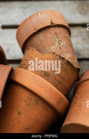 Vieux pots de terre cuite dans une caisse en bois. Banque D'Images