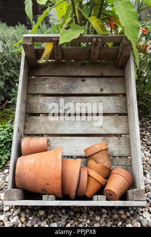 Vieux pots de terre cuite dans une caisse en bois. Banque D'Images