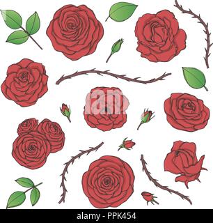 Vector set de fleurs rose rouge avec des bourgeons, des feuilles et tiges épineuses contours isolé sur le fond blanc. Floral dessiné à la main collection de fleurs Illustration de Vecteur