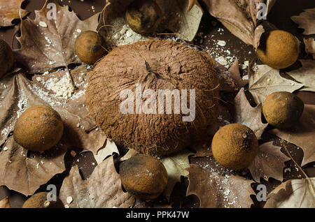 Sec de noix de coco dans la moitié sur un fond brun, entouré de sécher et citrons jaune, décoré avec des feuilles séchées, beau Fonds de textes et de déc Banque D'Images