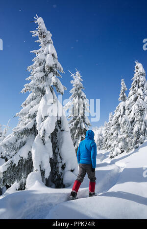 Randonnées en hiver avec des raquettes. Noël neige paysage. Guy marchant le long d'un chemin dans une forêt de montagne. Sapins dans la neige Banque D'Images