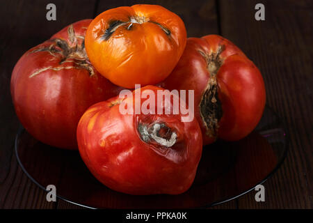 Gâtés, pourris trois tomates sur un fond de bois sombre. Banque D'Images