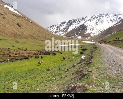 L'Ala Archa Parc National dans les montagnes du Tian Shan Bichkek au Kirghizistan Banque D'Images