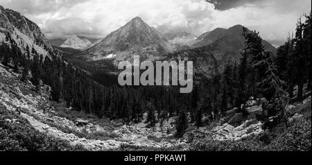 Portrait d'un randonneur au-dessus du ruisseau Bubbs Vidette et prairie, avec un pic de l'Est à l'arrière-plan Vidette ; John Muir Trail/Pacific Crest Trail ; S Banque D'Images