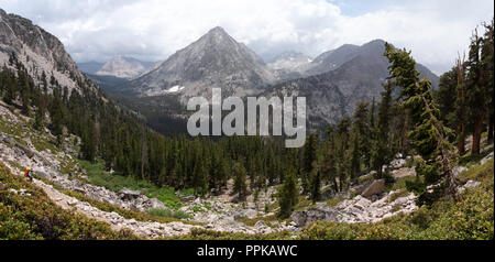 Portrait d'un randonneur au-dessus du ruisseau Bubbs Vidette et prairie, avec un pic de l'Est à l'arrière-plan Vidette ; John Muir Trail/Pacific Crest Trail ; S Banque D'Images