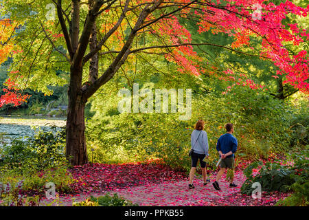 Couple sur chemin avec la couleur de l'automne, le Jardin botanique VanDusen, Vancouver, British Columbia, Canada Banque D'Images