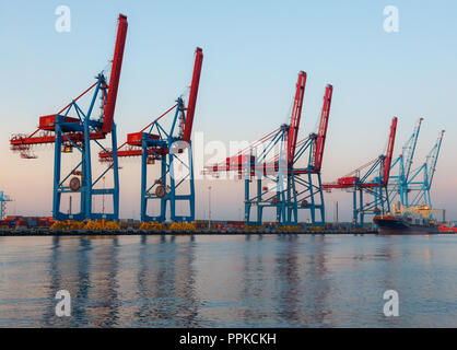 Grues à conteneurs d'une mer Banque D'Images