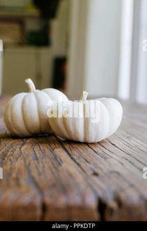 Petit mini white pumpkins sur une table en bois Banque D'Images