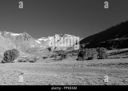 Lever du soleil dans la vallée près de Alger Lacs, en vue d'Koip Koip Pic et col en arrière-plan ; Ansel Adams Wilderness, Inyo National Forest, la Sierra Banque D'Images