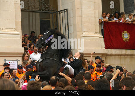 Les cavaliers de la Mare de Déu de Gràcia festival, Mahon/Mao, Minorque, Iles Baléares, Espagne. Banque D'Images