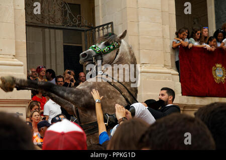 Les cavaliers de la Mare de Déu de Gràcia festival, Mahon/Mao, Minorque, Iles Baléares, Espagne. Banque D'Images