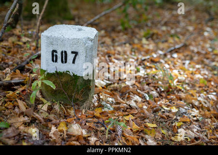 Pilier en pierre blanche situé en forêt. Marque de branches des forêts nécessaires à la navigation sur le terrain. Saison de l'été. Banque D'Images