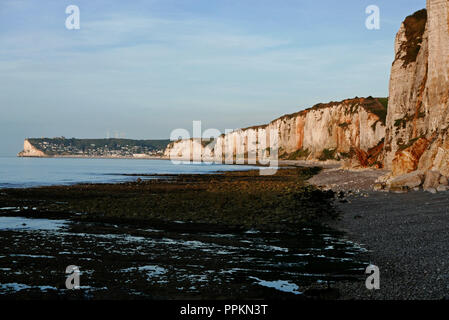 Fécamp et Yport falaises, Seine-Maritime, Normandie, France, Europe Banque D'Images