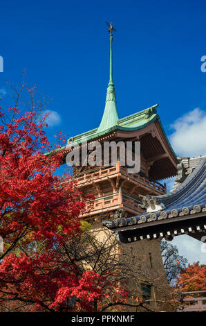 Vue de la tour caractéristique Gionkaku avec feuilles d'érable rouge, à côté du Temple Daiunin Banque D'Images