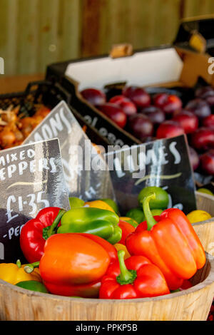 Un mélange de légumes à la vente dans divers contenants partie du produit frais stand à Hawarden Estate Farm Shop, Flintshire, au Pays de Galles Banque D'Images