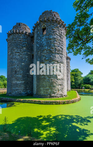 Nunney Castle, Somerset, Angleterre, Royaume-Uni, Europe Banque D'Images