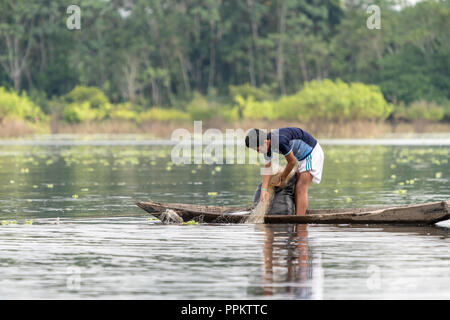 La réserve de Pacaya Samiria, Pérou, Amérique du Sud. Jeune garçon vérifier ses filets de pêche dans la région de l'Ucayali River dans le bassin amazonien. (Pour un usage éditorial uniquement) Banque D'Images