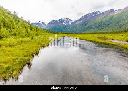 Avis de freash alimenté par des eaux dans la rivière Eagle Creek Nature Center à Eagle River en Alaska Banque D'Images