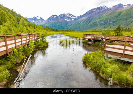 Avis de freash alimenté par des eaux dans la rivière Eagle Creek Nature Center à Eagle River en Alaska Banque D'Images
