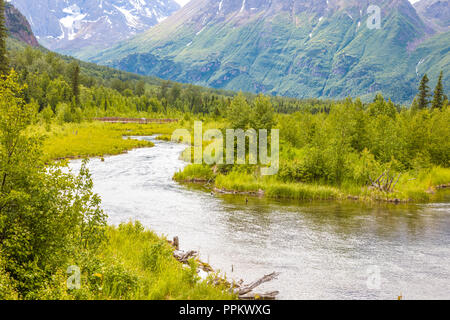 Avis de freash alimenté par des eaux dans la rivière Eagle Creek Nature Center à Eagle River en Alaska Banque D'Images