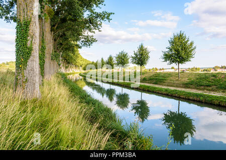 Le canal bordé d'arbres de la Marne en France avec un chemin de halage et les jeunes arbres se reflétant dans les eaux calmes. Banque D'Images