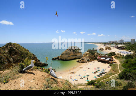 Praia dos Três Irmãos et mouettes, Algarve, Portugal Banque D'Images