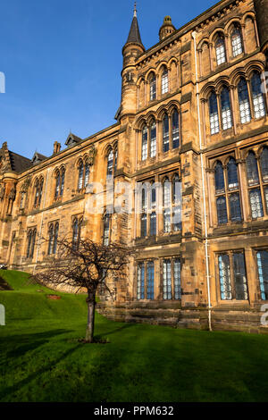 L'Université de Glasgow sur une journée ensoleillée avec un arbre à l'extérieur, de l'Écosse Banque D'Images