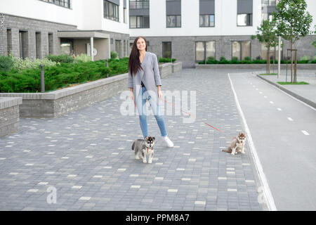 Les jeunes femmes attrayantes à marcher avec deux chiot Husky dans la rue. Banque D'Images