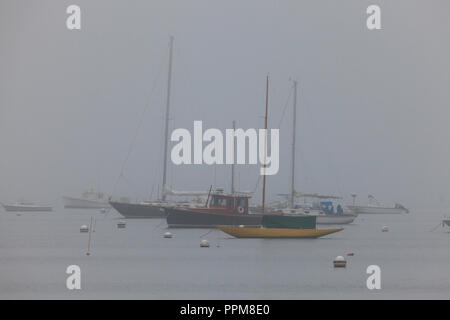 Voiliers dans le brouillard, Seal Harbor, Maine Banque D'Images