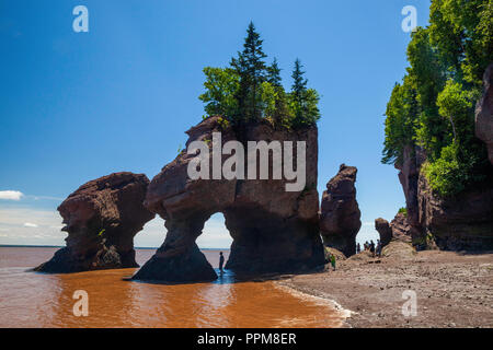 Marée montante à Hopewell Rocks, dans la baie de Fundy, Nouveau-Brunswick Banque D'Images