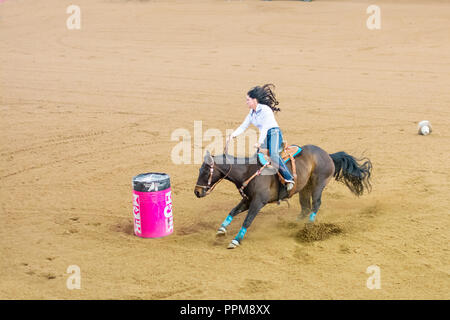 Concurrent dans le baril australienne Horse Association Finale Nationale 2018 à Australian Equine and Livestock Events Center, Tamworth NSW Australie. Banque D'Images