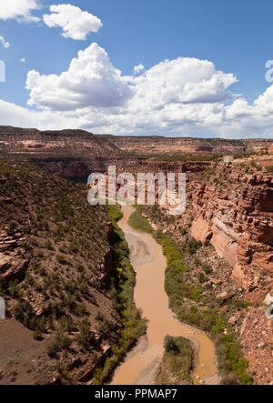 La pendaison donnent sur un canal dans le sud-ouest du Colorado, USA Banque D'Images