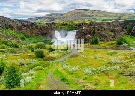 Avis de Hjalparfoss Cascades et les fleurs champ dans la vallée de Thjorsardalur au sud de l'Islande Banque D'Images
