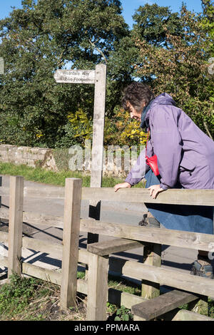 Femme mature la montée au stile sur la façon Weardale, Blanc Kirkley près de Frosterley Co., Durham, England, UK Banque D'Images