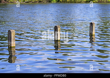 Trois poteaux de bois d'amarrage dans l'eau du lac Banque D'Images