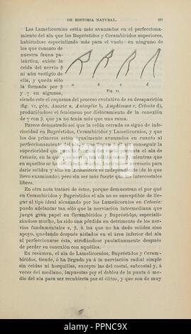 Boletín de la Sociedad Española de Historia Natural (page 197) Banque D'Images