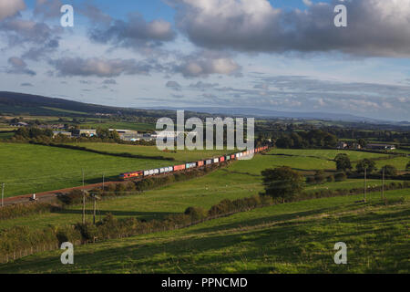 Une classe de 66DB Cargo locomotive diesel sur la West Coast Main Line en Cumbria avec un Mossend Liverpool Seaforth - train de conteneurs intermodaux Banque D'Images