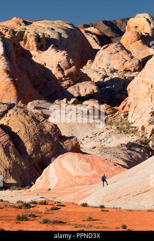 Voir en dômes blancs, la Vallée de Feu State Park, Nevada Banque D'Images