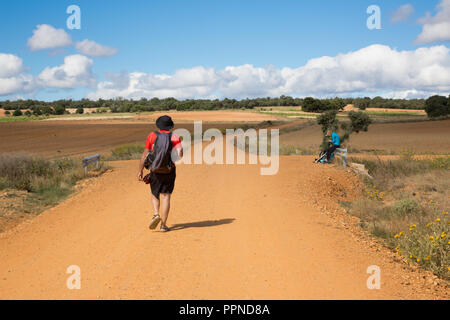 Camino de Santiago (Espagne) - quelques pèlerins marcher le long du chemin de St James, dans la meseta espagnole Banque D'Images