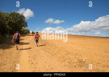 Camino de Santiago (Espagne) - quelques pèlerins marcher le long du chemin de St James, dans la meseta espagnole Banque D'Images