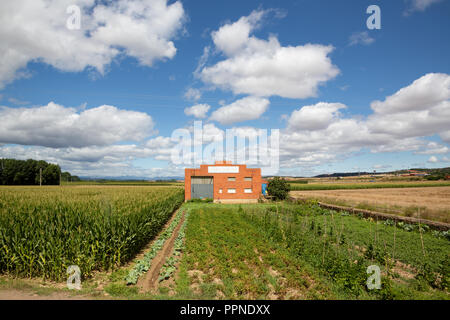 Camino de Santiago (Espagne) - Le chemin de St James, dans la meseta espagnole Banque D'Images