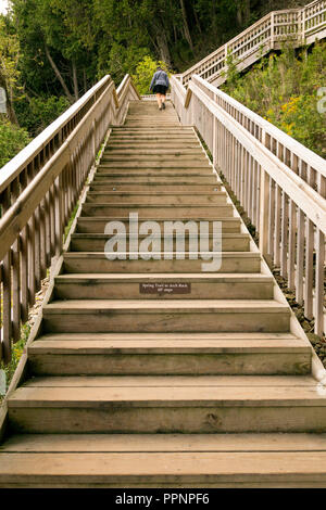 Woman climbing près du haut d'un ensemble d'extérieur en bois raide escalier. Monter les escaliers menant à l'Arch Rock sur l'île Mackinac, Michigan. Banque D'Images