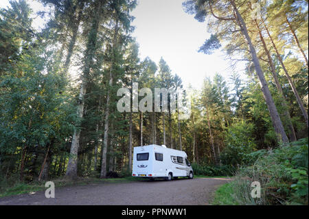 Camping stationné dans un bois SAUVAGE DE NOUVEAU CAMPING-CARS TOURING HOLIDAYS UK Banque D'Images