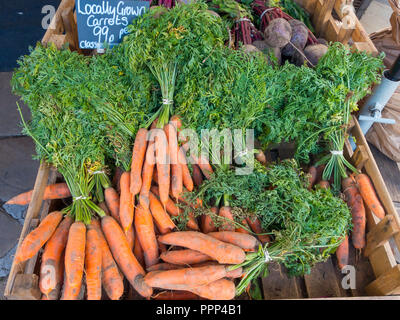 Des carottes cultivées localement dans un greengrocery dans Thirsk North Yorkshire Angleterre 99p prix par livre Banque D'Images